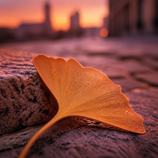 Why September Is the Insider's Month: the Cities That Peak After the Crowds Leave